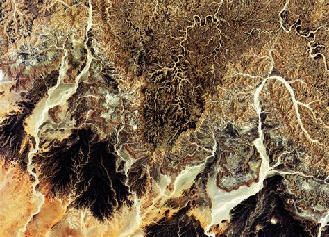 The sahara desert is the largest hot desert and one of the harshest environments in the world. Sahara Desert in Algeria As Seen By Sentinel - SpaceRef