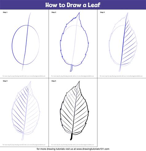How To Draw A Leaf Printable Step By Step Drawing Sheet