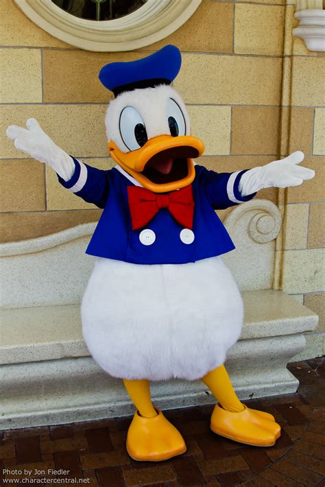 Donald Duck At Disney Character Central