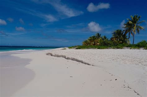 the beautiful shoal bay beach in anguilla erika s travels