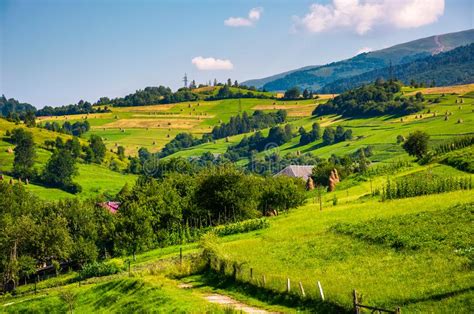 Beautiful Countryside In Summertime Stock Photo Image Of Agrarian