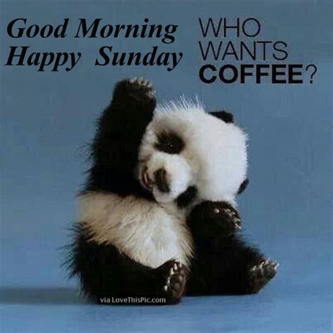 Good Morning Happy Sunday Who Wants Coffee Pictures Photos And Images