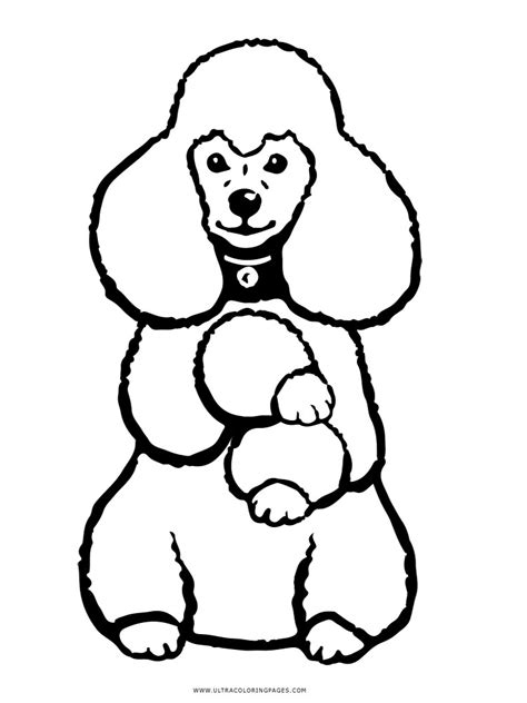 1) if you have javascript enabled you can click the print link in the top half of the page and it will automatically print the coloring page only and. Free Poodle coloring pages. Download and print Poodle ...