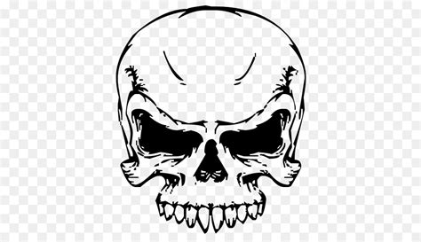 Free Transparent Skull Png Download Free Transparent Skull Png Png