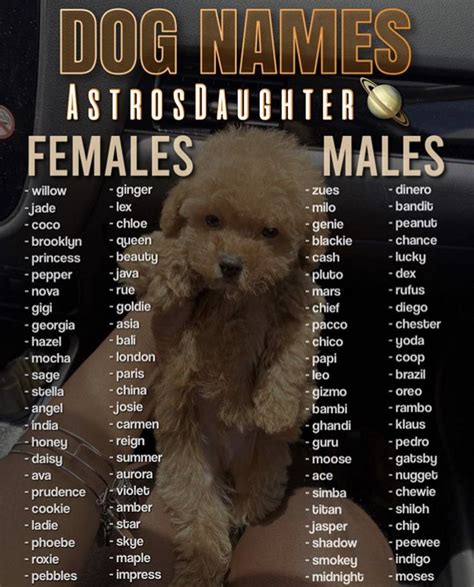𝐚𝐬𝐭𝐫𝐨𝐬𝐝𝐚𝐮𝐠𝐡𝐭𝐞𝐫 Dog names Cute animal names Cute names for dogs