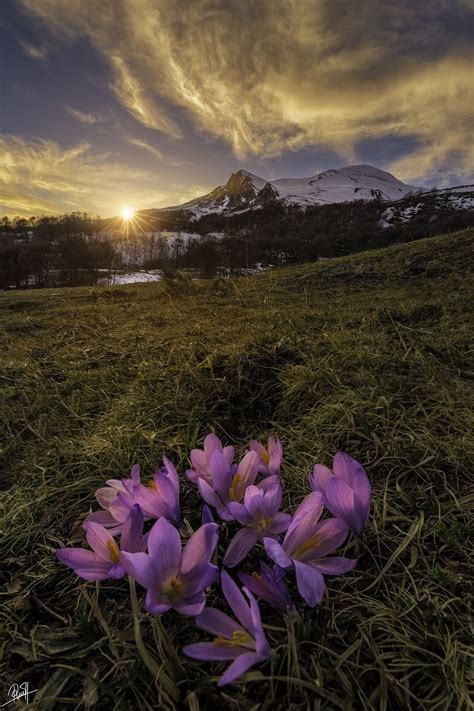 Early Spring Spring Landscape Photography Spring Scenery Spring