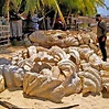Philippines: Giant Clam Shells Worth $25m Seized In Raid BBC News | vlr ...