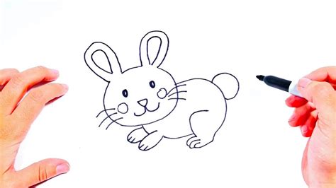 Como Dibujar Un Conejo Facil Y Lindo Reverasite