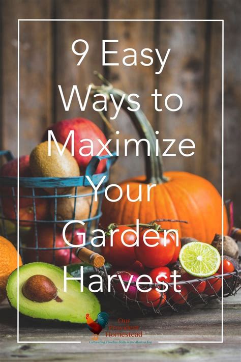 9 Easy Tips To Maximize Your Garden Harvest This Fall Garden Harvest
