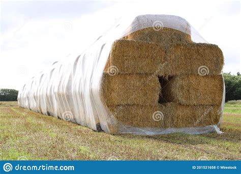Large Pile Of Hay Bales Wrapped With A Plastic Sheet On The Ground