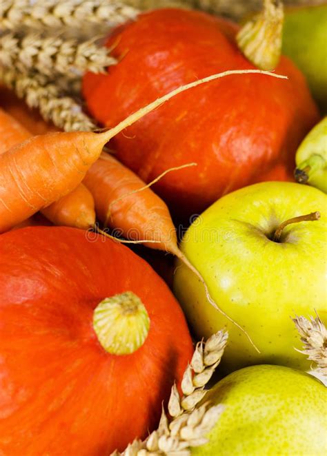 Close Up Of Autumn Harvest Stock Image Image Of Composition 69463373