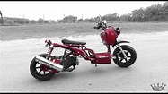 Icebear Maddog 150cc Scooters - YouTube