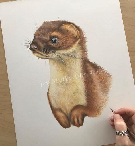 Bean The Weasel Is Complete 11 X 14 Ive Spent This Morning Finishing