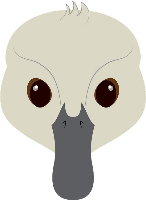Ugly Duckling Face Clipart Free Download Transparent Png Creazilla