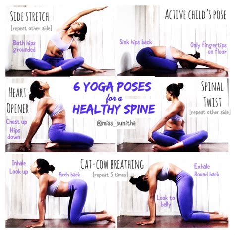 Yoga Poses For A Healthy Spine Miss Sunitha Sunithalovesyoga