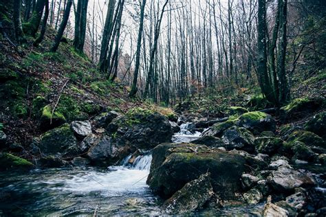 stream-in-the-autumn-dark-forest-high-quality-nature-stock-photos