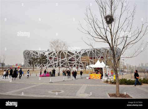 The Birds Nest Stadium At The Olympic Green Park In Beijing China
