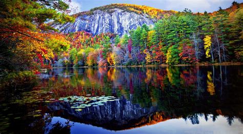 Autumn Forest Reflected In The Lake 4k Ultra Hd Wallpaper Background