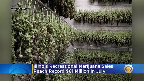 The law states that only residents of illinois can participate in the medical cannabis pilot program. Video: Illinois Marijuana Sales Reach Record $61M In July