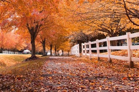 15 Stunning Places To Experience Fall Foliage In Maryland 2023