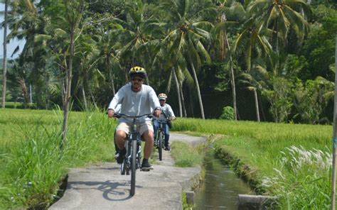 Bersepeda Di Desa Ubud Bali Dengan Pemandangan Persawahan