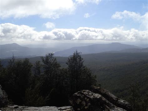 Mount Charles From White Timber Trail Hiking South East Tasmania