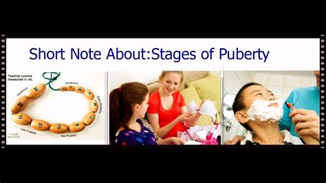 Short Note About The Stages Of Puberty Youtube