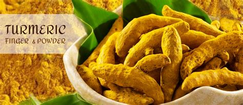 Geewin Exim Organic Turmeric Finger Exporters Suppliers In India