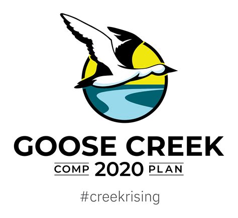 Goose Creek Comprehensive Plan 2020 Bcdcog