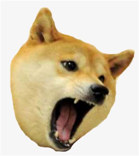 Shibenation Doge Meme Freetoedit Angry Doge Meme Png Image