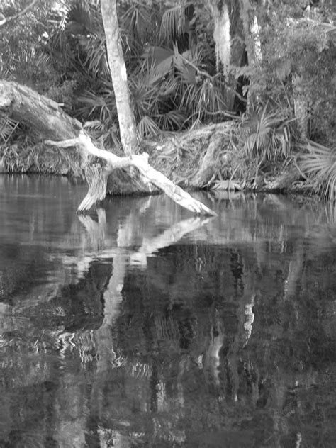 River Reflections 2 Photograph By Warren Thompson Fine Art America