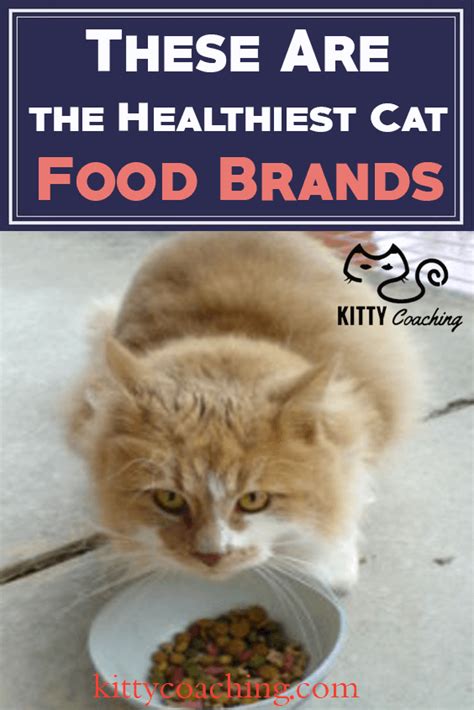 The best cat food brands for indoor cats are wet and raw foods. Healthiest Cat Food Brands (2018)