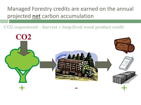 Ppt Carbon Credits Powerpoint Presentation Free Download Id494254