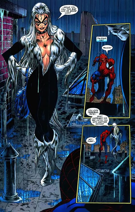 The Black Cat In The Sensational Spider Man Vol Art By Angel Medina Scott Hanna Dan