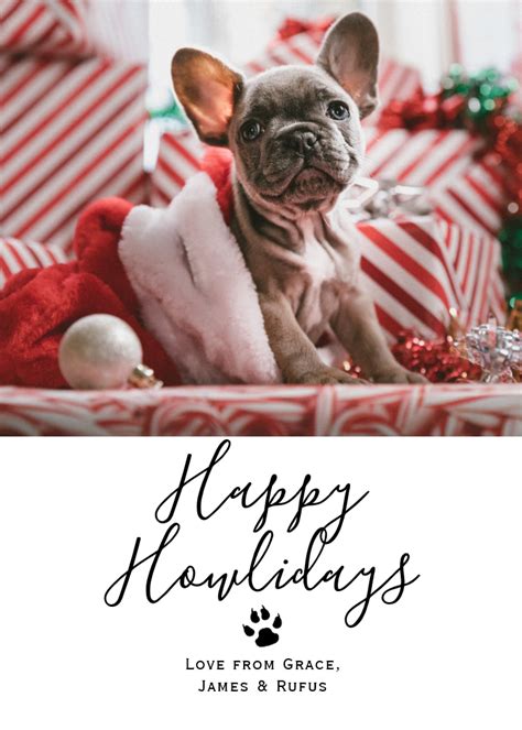 Original photo (made by customer); ﻿Best Pet Christmas Cards for 2019 | Zazzle Ideas