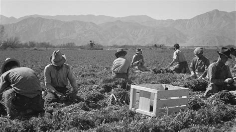 How Dorothea Lange Taught Us To See Hunger And Humanity The Salt NPR