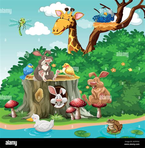 Wild Animals Living In The Park Stock Vector Image And Art Alamy