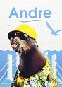 [REPELIS VER] Andre, una foca en mi casa (1994) Gratis en Español - Ver ...