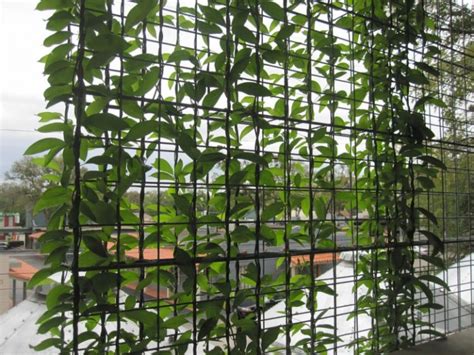 Elevating your landscape with a bamboo privacy screen is a substantial undertaking that requires pertinent knowledge. 20 Garden Screening Ideas For Creating A Garden Privacy Screen