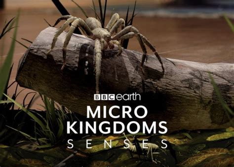 Bbc Earth Micro Kingdoms Augmented Reality Experience Geeky Gadgets