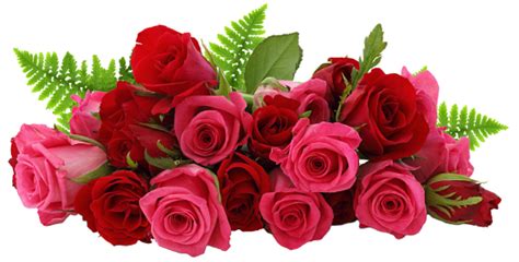 Flower Rose Love Red 2 Tải Png Free Khothietkenet