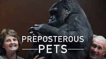 Preposterous Pets on Apple TV