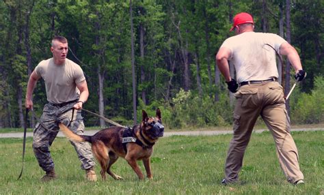 Multi Agency K 9 Training Helps Teams Develop New Skills And Techniques