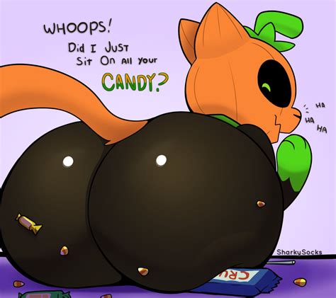 Rule 34 Candy Cat Ears Feline Halloween Pumkat Pumpkin 4209568