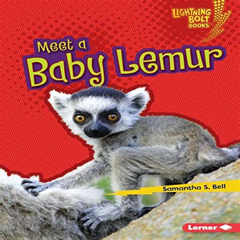 Meet A Baby Lemur Audio Download Samantha S Bell Intuitive Lerner