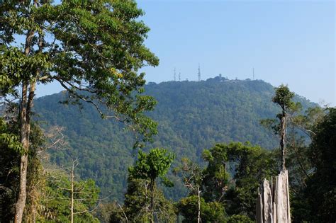 Gunung raya mempunyai hutan dipterokarp bukit dan hutan dipterokarp atas. Gunung Raya Langkawi Menjanjikan Pemandangan Indah ...