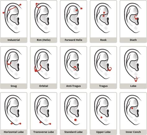 Ear Piercings Healing Chart
