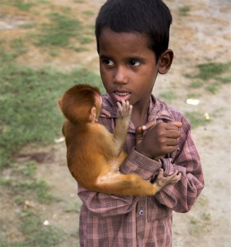 The Boy And The Monkey Smithsonian Photo Contest Smithsonian Magazine