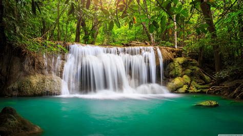 Rainforest Waterfall Ultra Hd Desktop Background Wallpaper