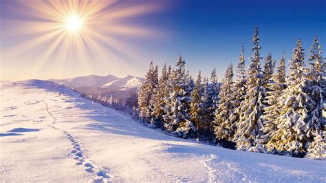 Cold Rays Of Winter Sun Cool Nature Wallpapers